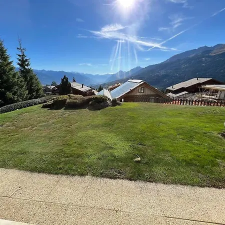 View Montana -swiss Alps