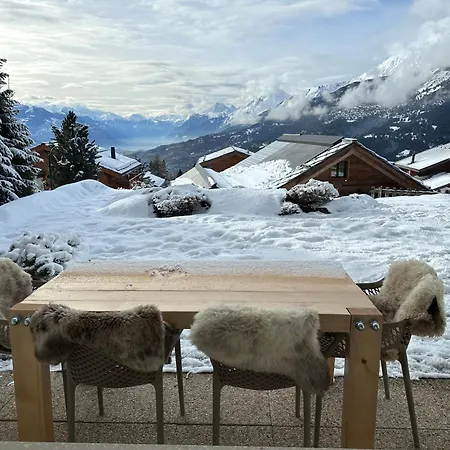 Apartment View Montana -swiss Alps